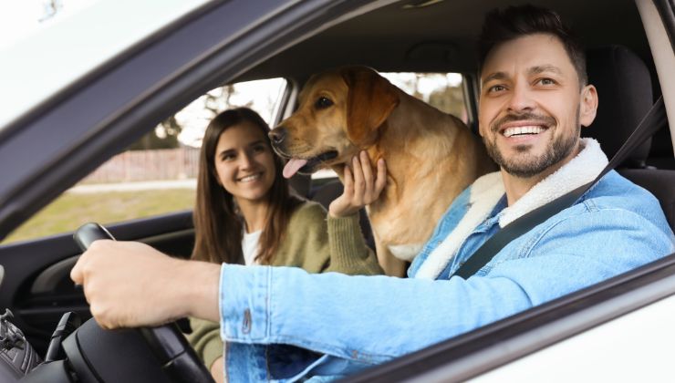 Con queste auto non rischi il ritiro della patente: ecco di quali modelli stiamo parlando