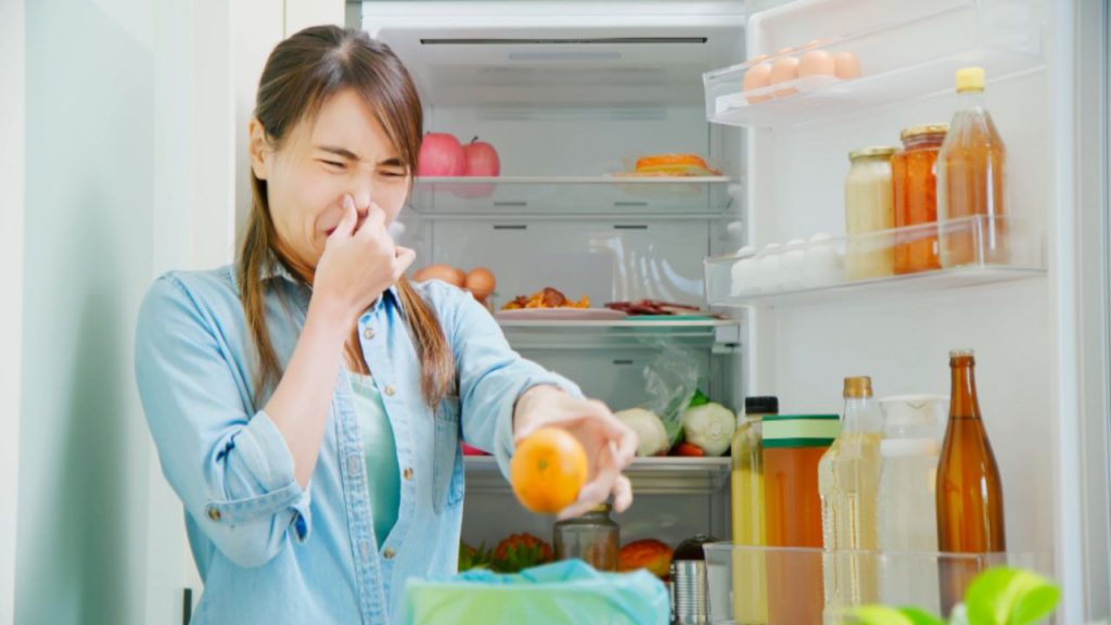 Caro Frigorifero mi tradisci ogni giorno: questi alimenti vanno sempre a male | C’è un unico rimedio che funziona