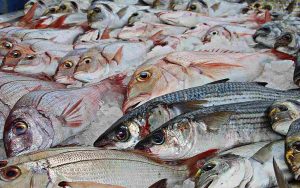 la verità sulla provenienza del pesce Eurospin